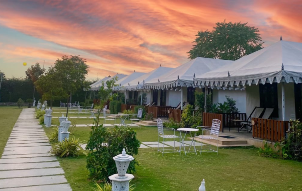 Tent Stay in Pushkar